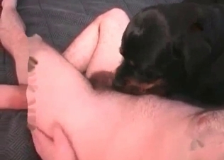 Nasty dog bestiality with filthy zoophiles