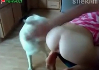 Tight pussy gets drilled by white doggy
