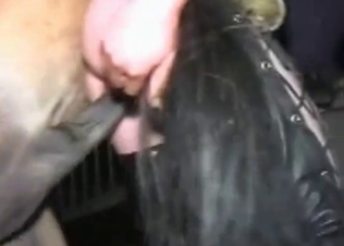 Farm bestiality in the doggy style pose
