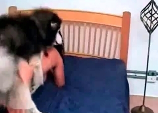 Tight pussy gets impaled by mongrel