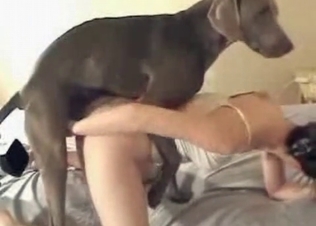 Slut quickly drilled by a cute puppy