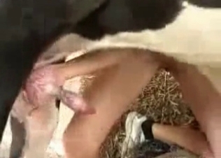 Slutty zoophile slut enjoys dirty bestiality
