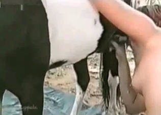 Stallion with giant dick and a hot zoophile
