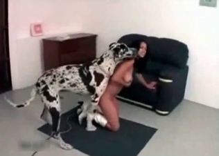 Zoophilic slut enjoys dirty fuck with a cur