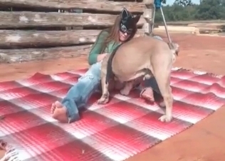 Zoophile and dog have nice bestiality sex