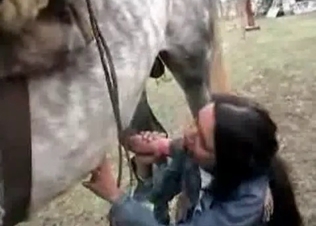Sexy young zoophile and a brutal stallion