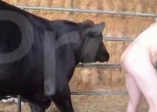 Dirty farm zoophilia XXX at the old barn